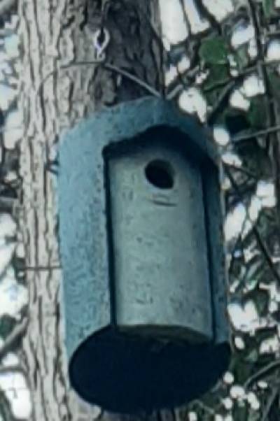 RSPB Approved £40 bird boxes.