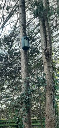 An example of a very substantial bird box costing £40 a time.