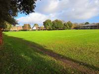 Top rugby pitch