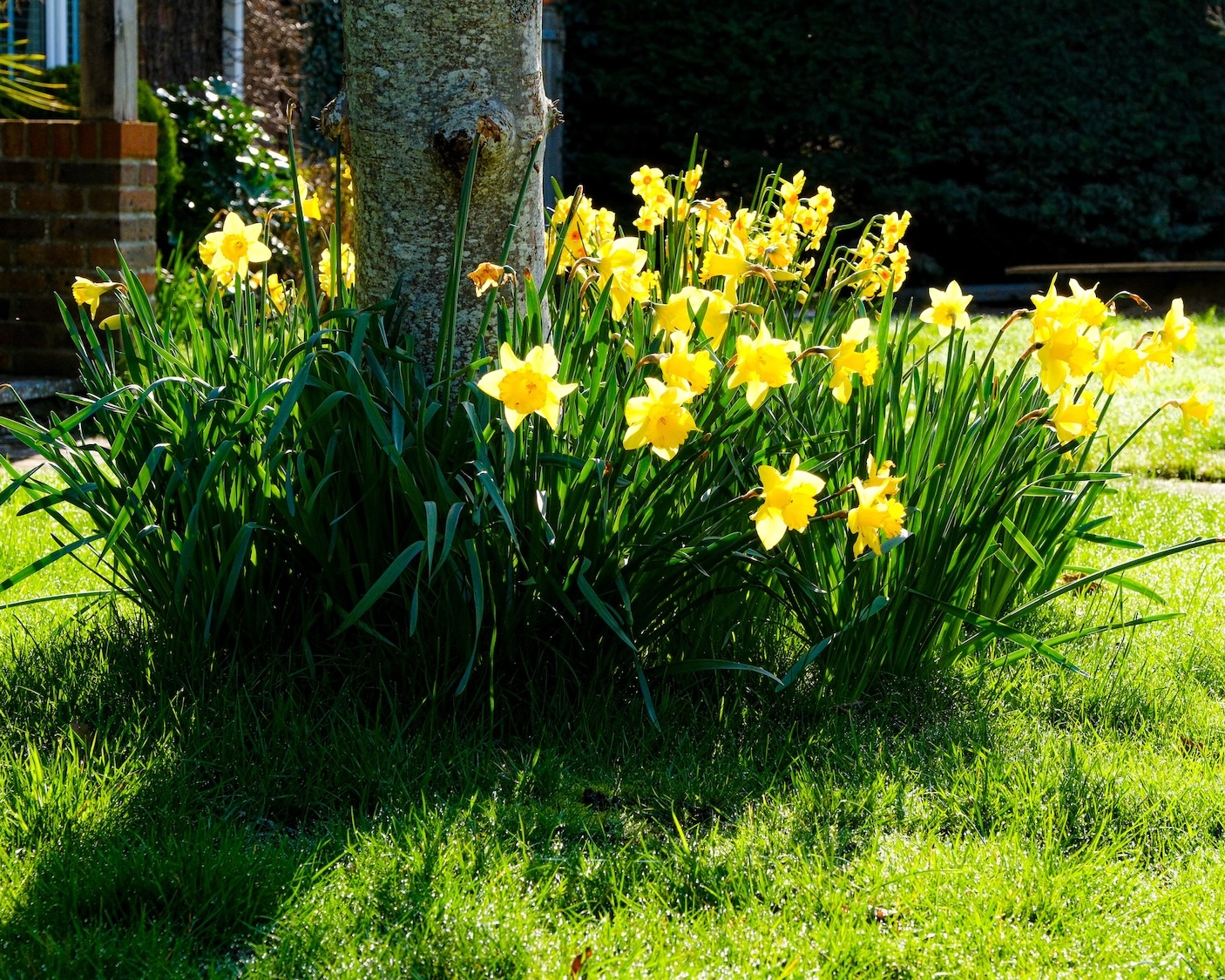 Summersdale Residents Association Image21